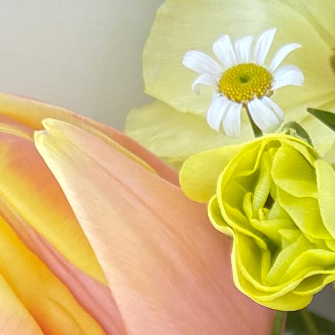 2026년 졸업식 (2월 20일) 대표이미지